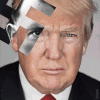 giphy (2).gif