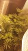 20161120_094311.jpg 20161120_094311.jpg