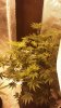 20161120_094229.jpg 20161120_094229.jpg