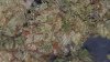 20161108_151007.jpg