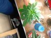 IMG_20161120_230406.jpg