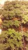IMAG0729.jpg