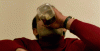 200 (25).gif
