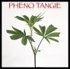 phenotangie.jpg