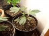 100_0295.jpg