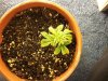 100_0359.jpg