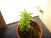100_0393.jpg