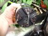 DSC01646.JPG