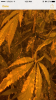 IMG_2583.PNG