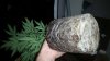 20161128_073523.jpg