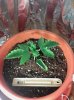 IMG_20161202_204225.jpg