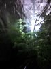 IMG_20161202_121922.jpg