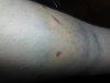 DSC01167.JPG