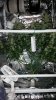 20161205_122916.jpg