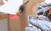 200.gif