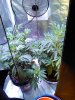 IMG_20161205_100913.jpg