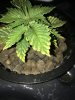 IMG_0291.JPG