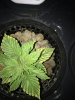IMG_0293.JPG