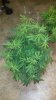 20161209_184307.jpg