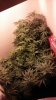 20161209_200737.jpg