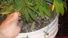 DSC03947.jpg
