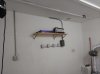 grow room 12 11 16 four.jpg grow room 12 11 16 four.jpg