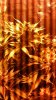 20161212_205251.jpg