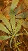 20161215_105529.jpg 20161215_105529.jpg