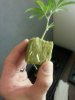 20161212_180716.jpg