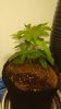 20161218_170829.jpg