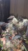 20161215_100725.jpg