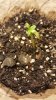 20161222_104926.jpg