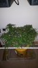 20161221_174114.jpg