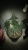 20160805_085934.jpg