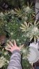 20161223_000840.jpg 20161223_000840.jpg