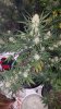 20161221_113015.jpg