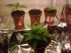 08032009003.jpg