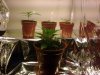 08032009004.jpg