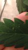 IMG_20161223_224328645.jpg