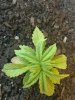 20161219_072308.jpg
