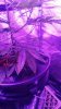 20161224_194911.jpg