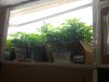 20161203_154844.jpg