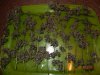 c4 harvest.JPG c4 harvest.JPG