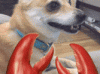 200_d.gif