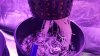 20161227_175742.jpg