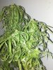 20161229_071359.jpg