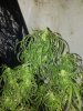20161229_071044.jpg