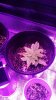 20161230_151337.jpg