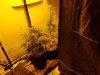 20161127_175850.jpg