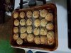 20161228_220549.jpg